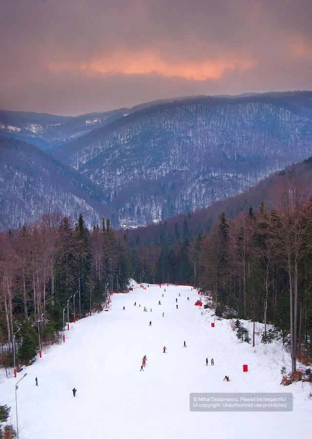 Diandru * Slanic Moldova